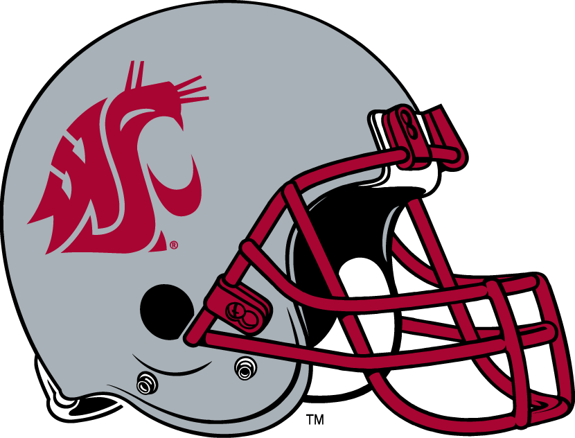 Washington State Cougars 1999-Pres Helmet Logo iron on transfers for T-shirts